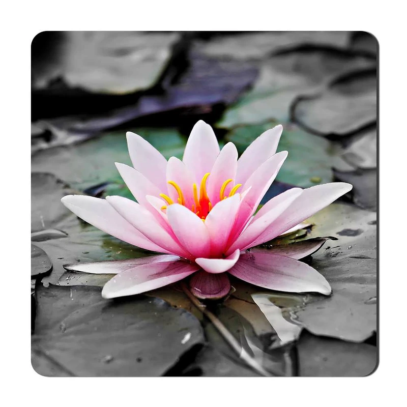 مگنت یخچالی گالری باجو طرح گل کد flower 37