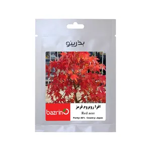 بذر بنسای افرا روبروم قرمز بذرینو کد BZNO-085