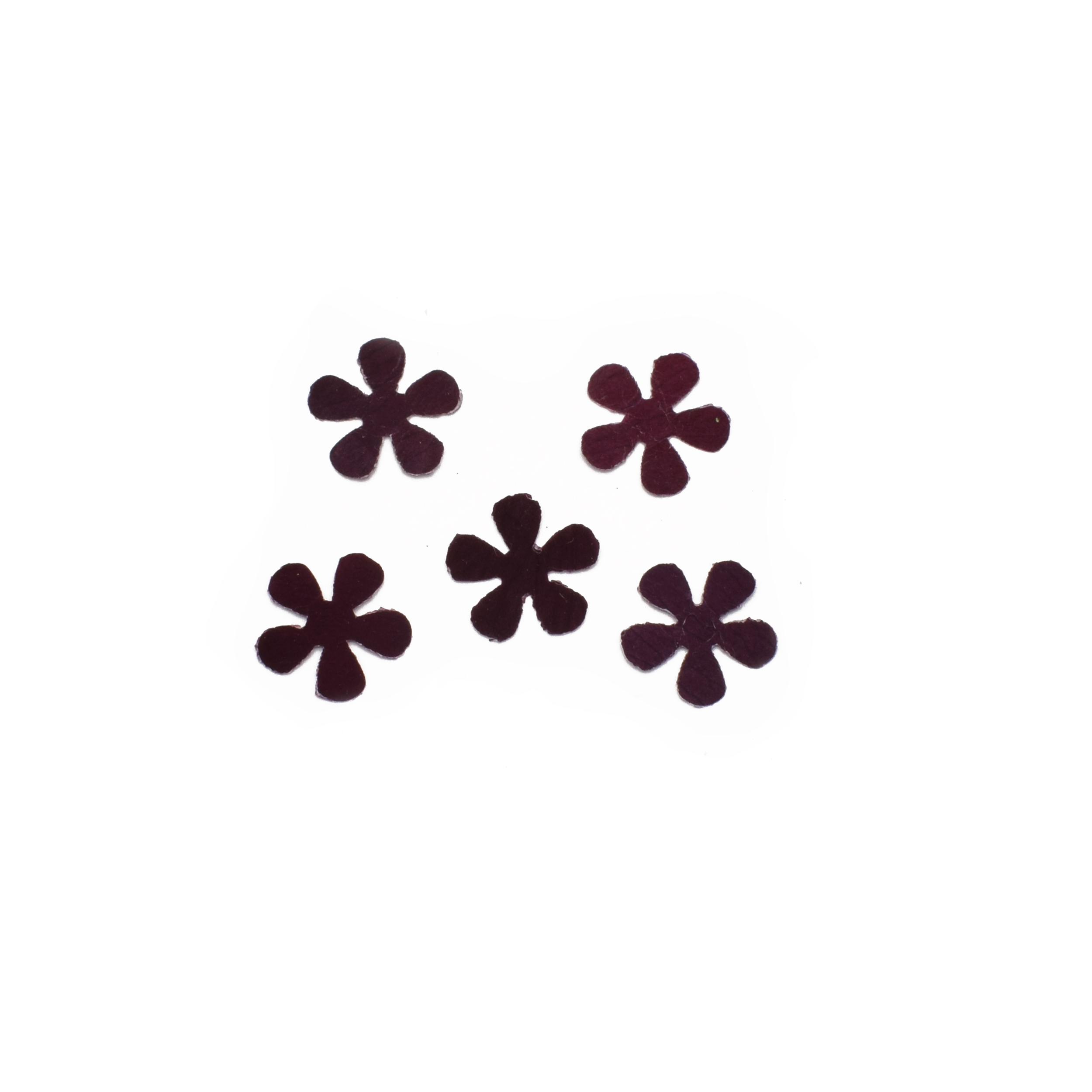 گل خشک مدل گلبرگ پانچی کد RD بسته پنج عددی