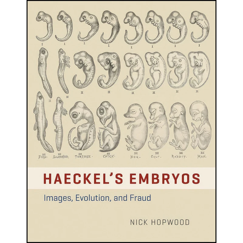 کتاب Haeckels Embryos اثر Nick Hopwood انتشارات University of Chicago Press 