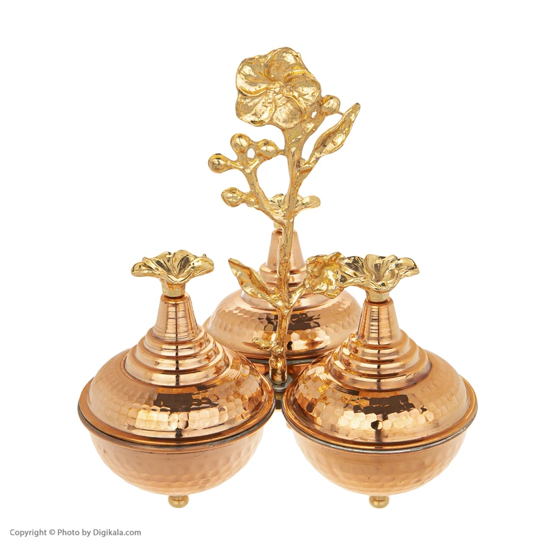 عکس شماره 3 : اردورخوری مسی کد 001