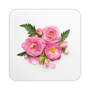 زیر لیوانی کاکتی طرح گل مدل mp19233