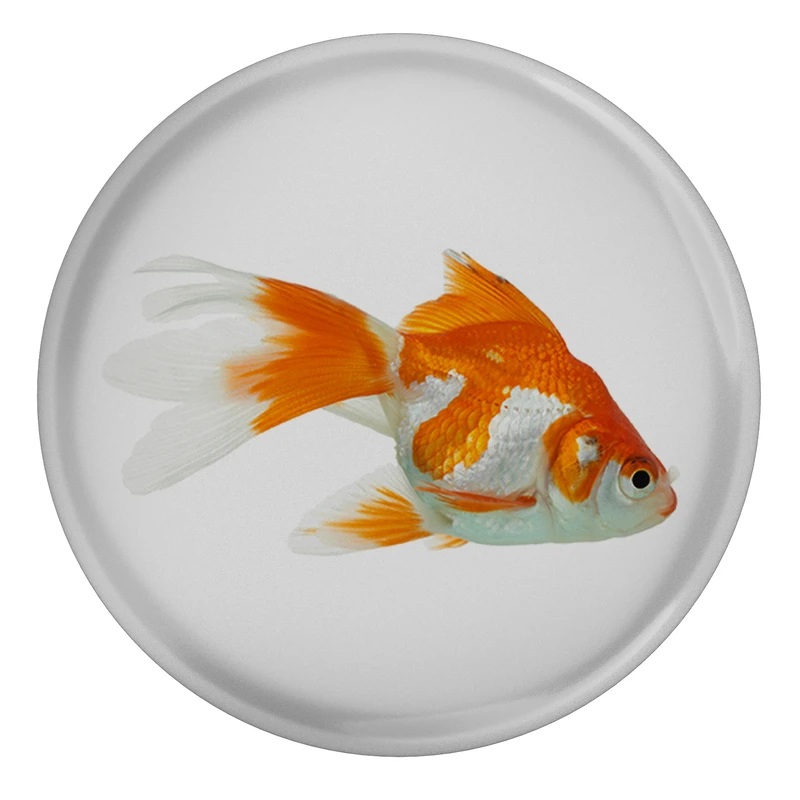 پیکسل طرح ماهی عید نوروز مدل S5708