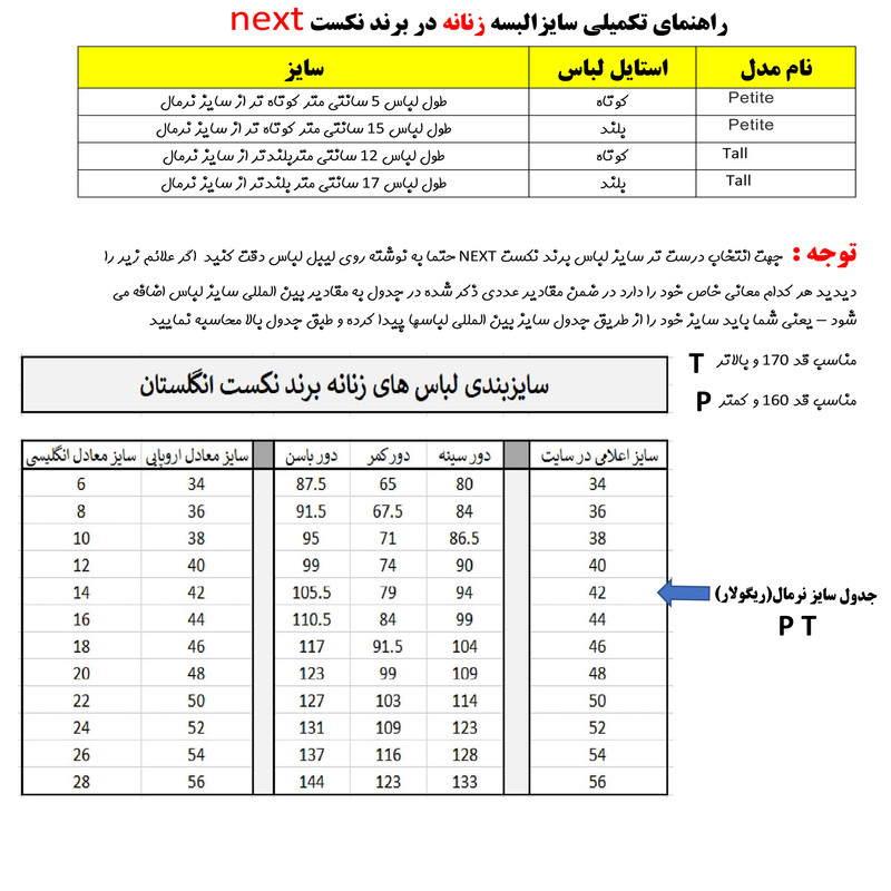 دامن زنانه نکست مدل AZ-1591