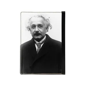 کلاسور مدل انیشتین