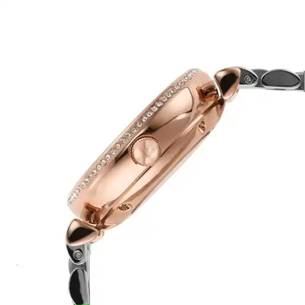 ساعت مچی عقربه ای زنانه امپریو آرمانی مدل AR60049