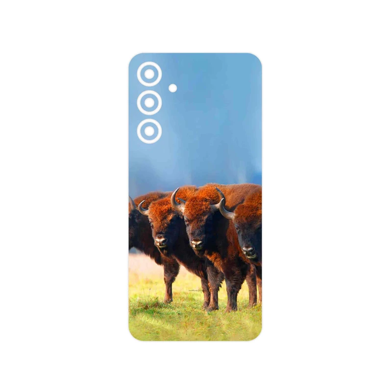 برچسب پوششی ماهوت مدل Buffalo مناسب برای گوشی موبایل سامسونگ Galaxy A16 4G