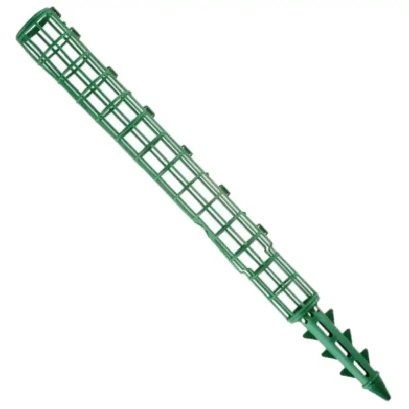 قیم بند مدل پتوس بدون خزه