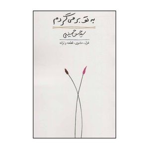 کتاب به تو برمی گردم اثر حسن حسینی انتشارات کتاب آبی