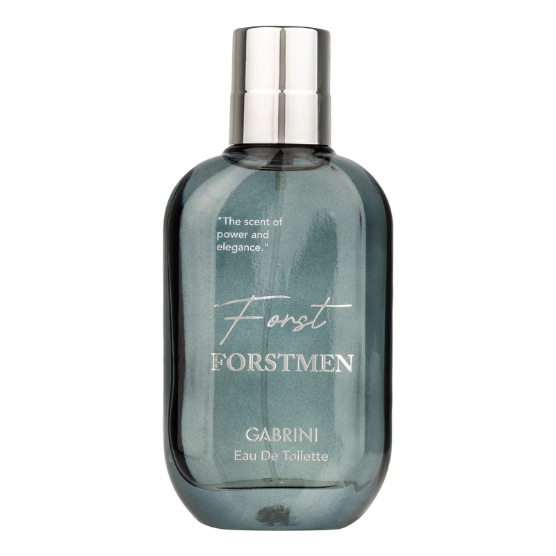ادو تویلت مردانه گابرینی مدل Frostmen با رایحه معتدل حجم 100 میلی لیتر