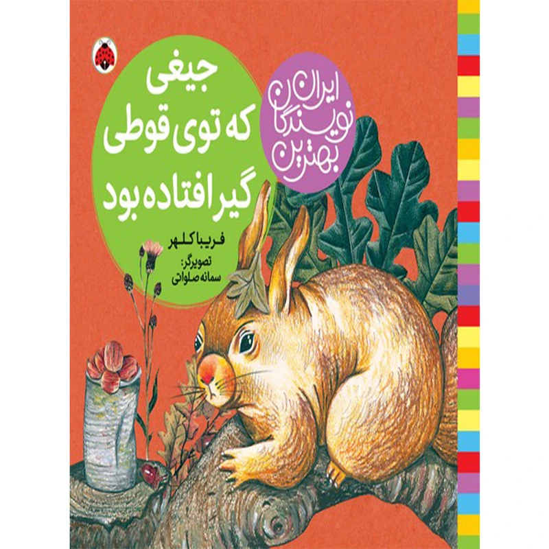 کتاب جیغی که توی قوطی گیر افتاده بود اثر فریبا کلهر انتشارات شهر قلم