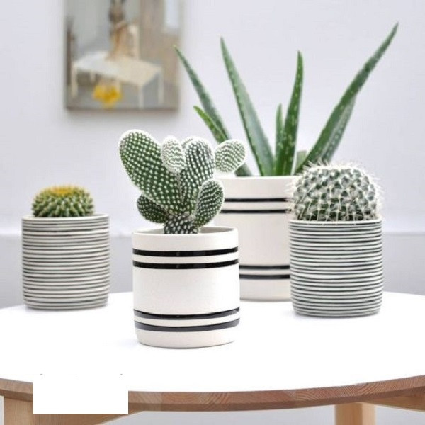 لیسه سفالگری بهگز مدل ویلسون