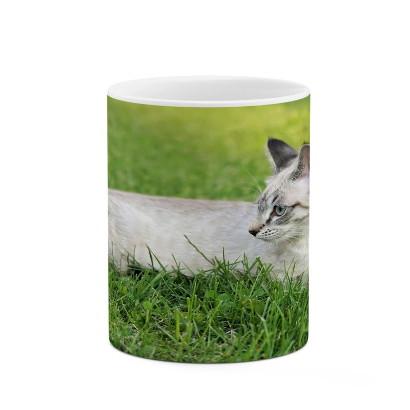 ماگ کاکتی مدل گربه کد mgh17434