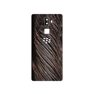 MAHOOT Wood Texture 9 Cover Sticker for BlackBerry Evolve