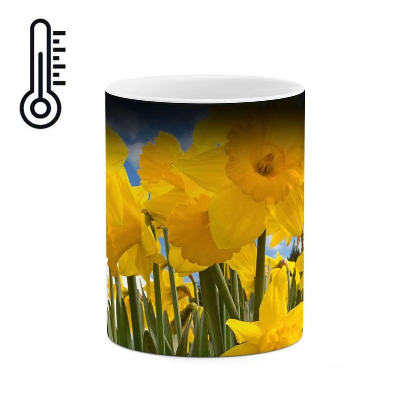 ماگ حرارتی کاکتی مدل گل کد mgh12014