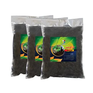 بارک پیت گلباران سبز گیلان مدل BP3 حجم 5.5 لیتر بسته 3 عددی