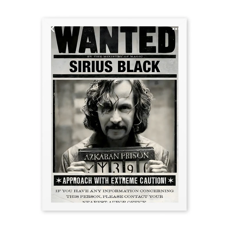 تابلو مدل دکوراتیو طرح سیریوس بلک کد 1205 فریم سفید