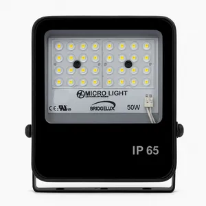 Microlight Projector Model Eco