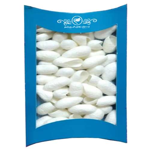 پیله ابریشم پری روی ابریشم مدل PA-50
