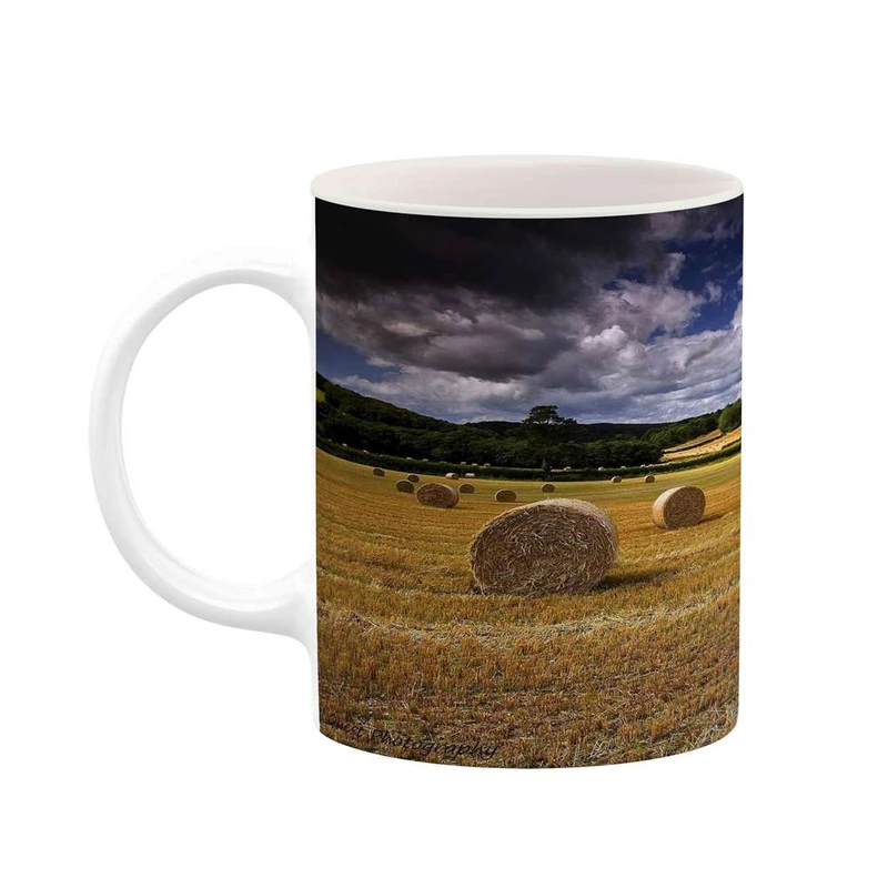 ماگ کاکتی مدل منظره کد mgh18262