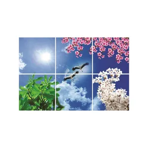 تایل سقفی آسمان مجازی مدل M14 سایز 60*60 سانتی متر مجموعه 6 عددی
