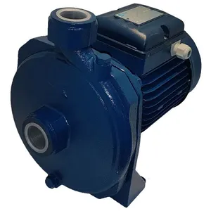 پمپ آب پنتاکس مدل CM100/00 IR اصلی