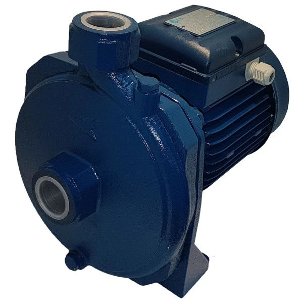 پمپ آب پنتاکس مدل CM100/00 IR اصلی