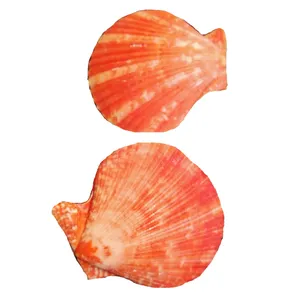 صدف تزیینی آکواریوم مدل SLS500 مجموعه 2 عددی 