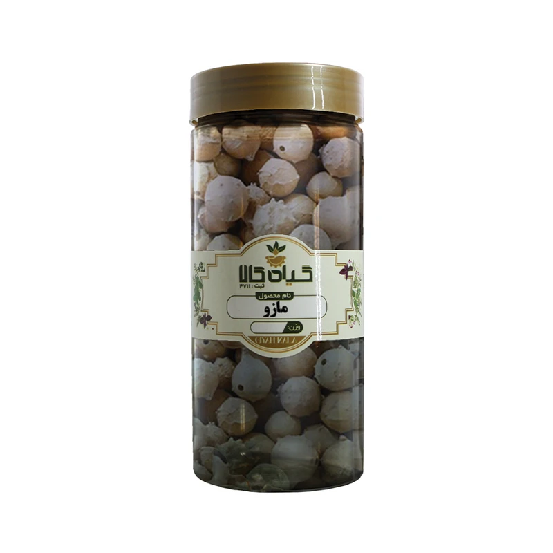 میوه مازو خشک گیاه کالا - 50 گرم