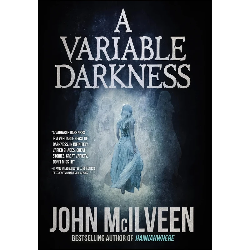 کتاب A Variable Darkness اثر جمعي از نويسندگان انتشارات Haverhill House Publishing