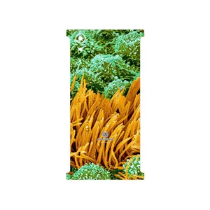 MAHOOT Atom Universe 6 Cover Sticker for Sony Xperia XA1 Plus