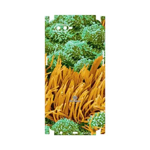 MAHOOT Atom Universe 6-FullSkin Cover Sticker for Oppo K1