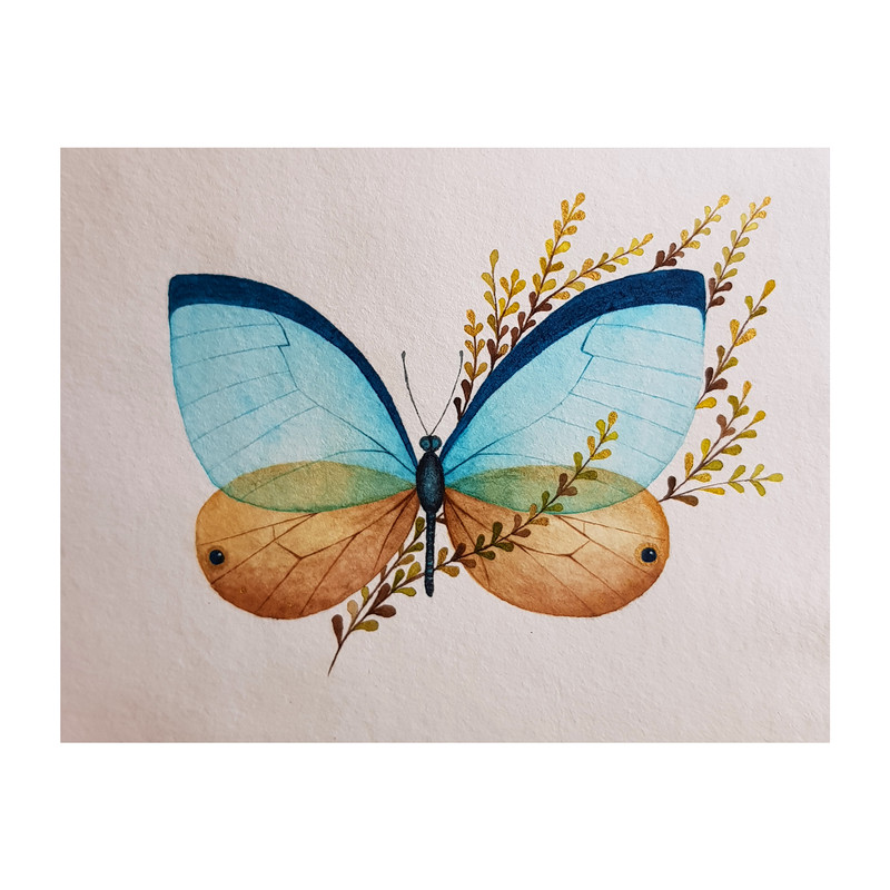 نقاشی آبرنگ طرح پروانه ابریشمی