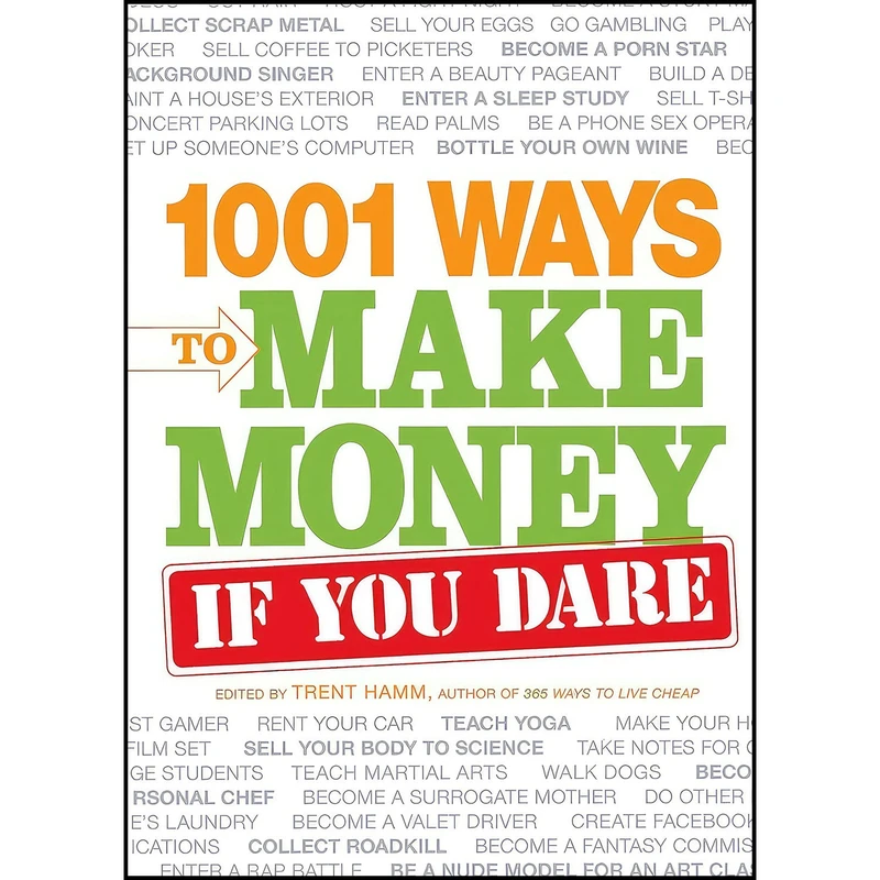 کتاب 1001 Ways to Make Money If You Dare اثر Trent Hamm and Michelle Scheinman انتشارات Adams Media