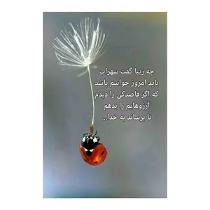 کارت پستال رادکس طرح تبریک روز عشق مدل s621