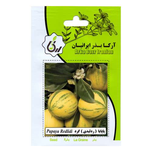 بذر میوه پاپایا ردلیدی گرد آرکا بذر ایرانیان کد 35-ARK