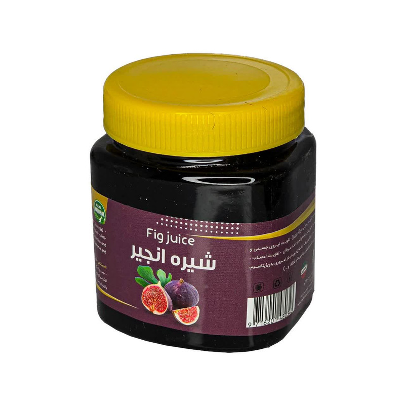 شیره انجیر فدک - 500 گرم 