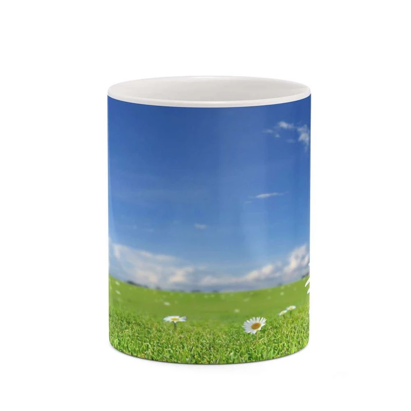 ماگ کاکتی مدل منظره کد mgh18304