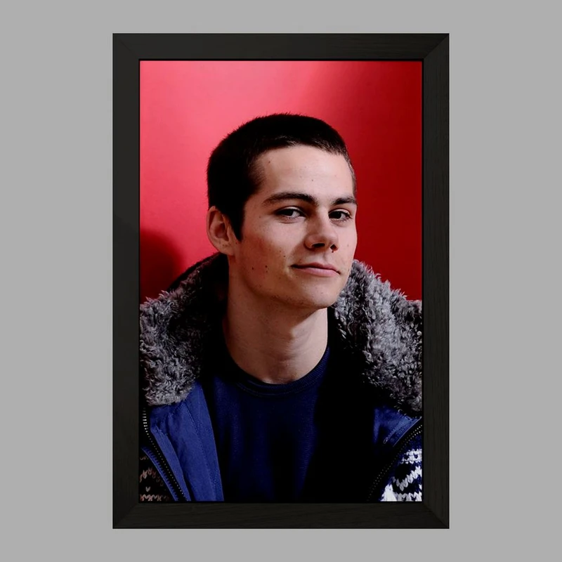 تابلو خندالو مدل استایلز استلینسکی سریال تین ولف Teen Wolf کد 28444