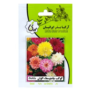 بذر کوکب پا متوسط الوان آرکا بذر ایرانیان مدل C120