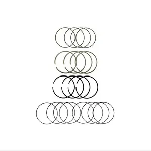 رینگ پیستون خودرو اس و اس مدل dk838‌ مناسب برای نیسان وانت بسته 20 عددی