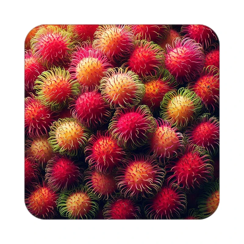 زیر لیوانی کاکتی طرح میوه مدل mp20207