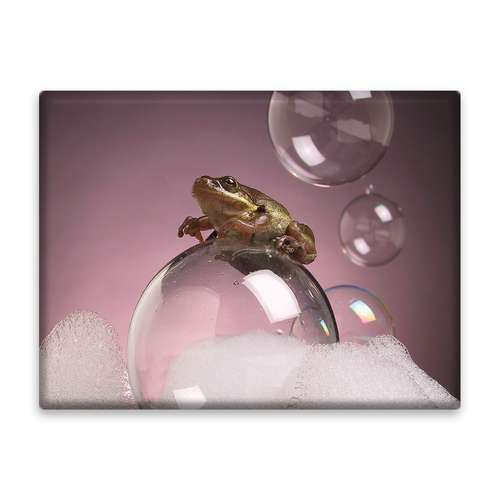 کاشی اطلس آبی طرح قورباغه و کف و حباب مدل T5861