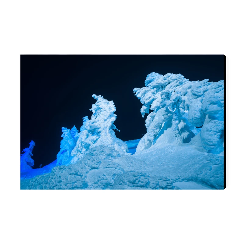 تابلو شاسی عرش طرح گردشگری ژاپن مدل هیولاهای برفی در کوه زائو کد As6243