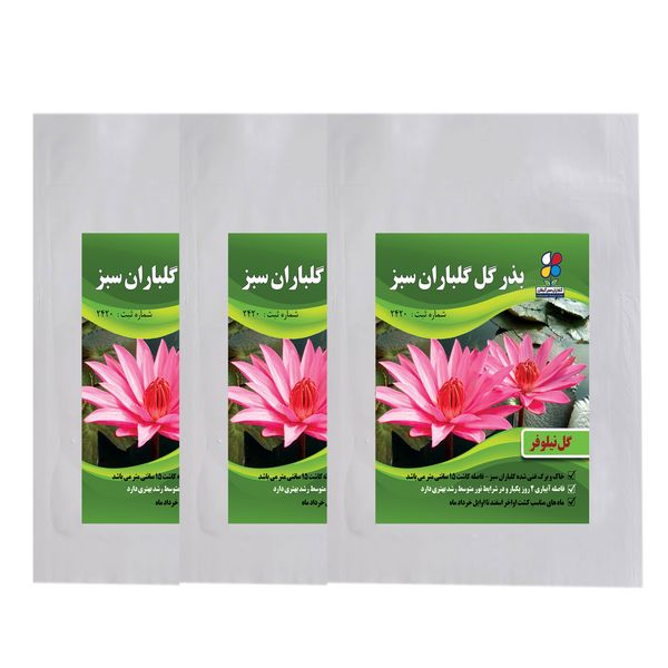 بذر گل نیلوفر گلباران سبز گیلان مدل GN3 بسته 3 عددی بذر گل نیلوفر گلباران سبز گیلان مدل GN3 بسته 3 عددی