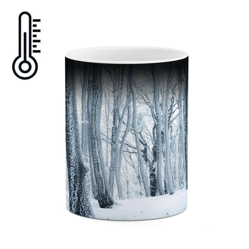 ماگ حرارتی کاکتی مدل منظره برفی کد mgh14838