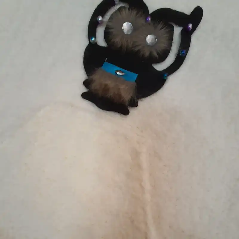 هودی زنانه مدل تدی کد SA504