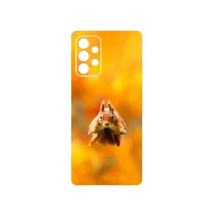 MAHOOT Squirrel Cover Sticker for Samsung Galaxy A52s 5G
