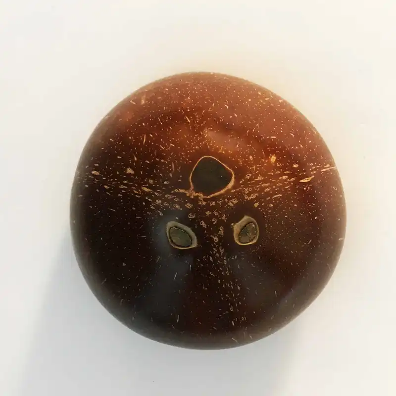 کالیمبا مدل پروانه کد R2