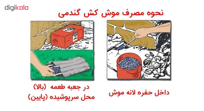 موش کش گندمی ضربه کد 21 وزن 200 گرم